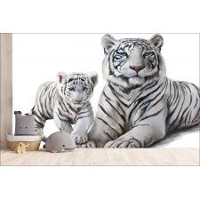 Fototapeta do pokoju dziecięcego tygrysy, dzikie koty, tygrysek dwk137