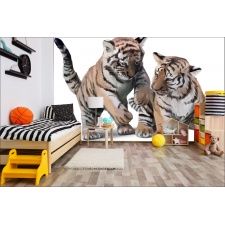 Fototapeta do pokoju dziecięcego tygrysy, dzikie koty, tygrysek dwk139