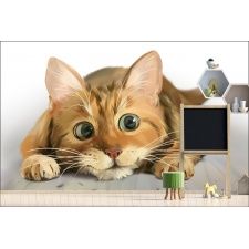 Fototapeta do pokoju dziecięcego kotek, kociak dwk144