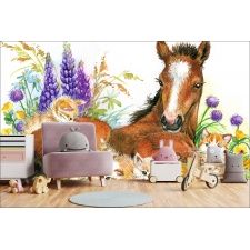 Fototapeta do pokoju dziecięcego koń, łany zbóż, polana, kotki, koń na polanie dwk158