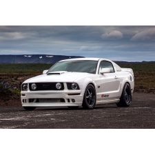 Fototapeta Mustang 4754