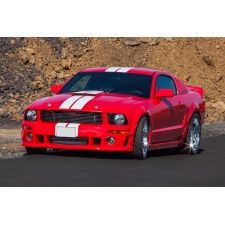 Fototapeta Mustang 4755