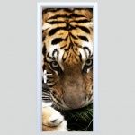 Fototapeta na drzwi tygrys 175p