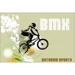 Fototapeta rower BMX 2521