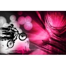 Fototapeta rower BMX 2531