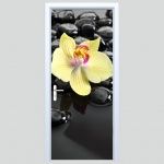 Fototapety na drzwi orchidea 579a