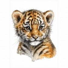 Plakat dla dzieci tygrysek PS166