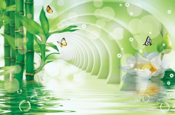  Fototapeta bambusy 3267