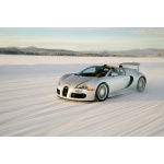 Fototapeta Bugatti 833