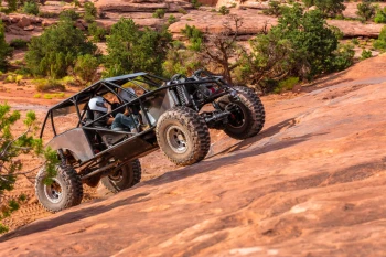  Fototapeta buggy 3806