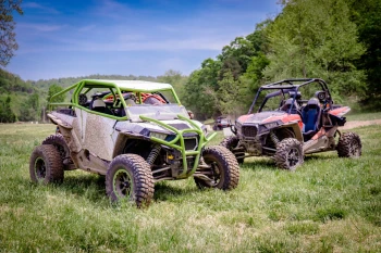  Fototapeta buggy 3808