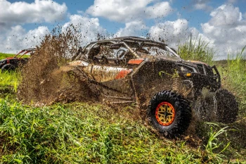  Fototapeta buggy 3811