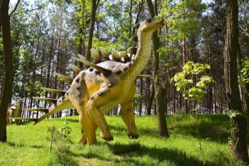  Fototapeta dinozaur 1785