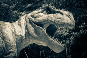  Fototapeta dinozaur 1798