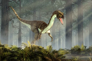  Fototapeta dinozaur 4323