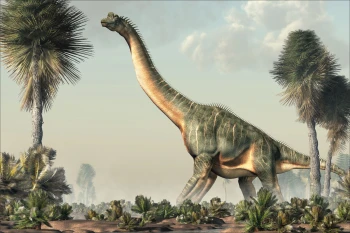  Fototapeta dinozaur 4327