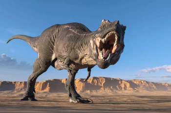  Fototapeta dinozaur 4333