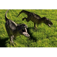 Fototapeta dinozaury 1184