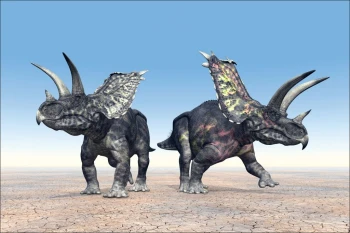  Fototapeta dinozaury 1793