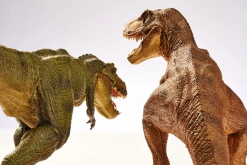  Fototapeta dinozaury 1804