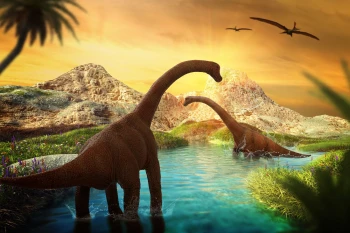  Fototapeta dinozaury 4309