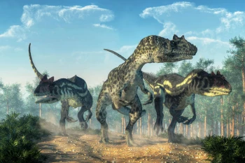  Fototapeta dinozaury 4314