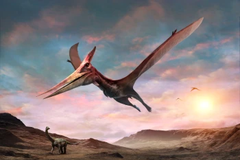  Fototapeta dinozaury 4317