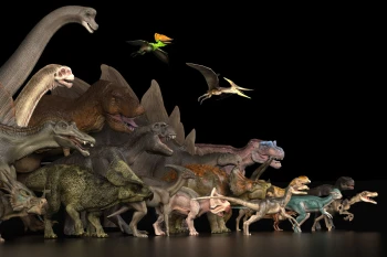  Fototapeta dinozaury 4328