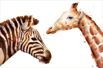  Fototapeta do pokoju dziecięcego żyrafa, zebra dwk168