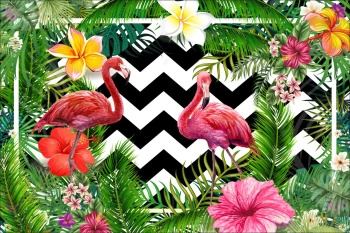  Fototapeta flamingi 3957