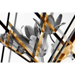  Fototapeta kwiaty, grafika, tulipany 5507