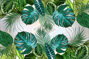  Fototapeta kwiaty, monstera 5333