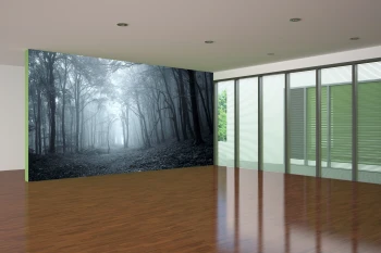  Fototapeta las 4384