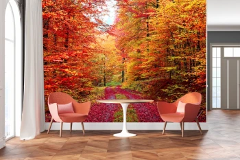  Fototapeta las jesienią 746a