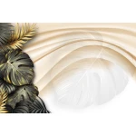  Fototapeta monstera, liście monstery 5445
