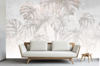  Fototapeta monstera, liście monstery 5563