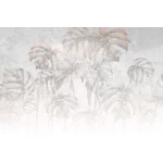  Fototapeta monstera, liście monstery 5563