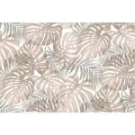  Fototapeta monstera, liście monstery 5566