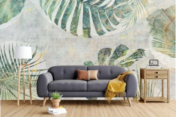  Fototapeta monstera, liście monstery 5569