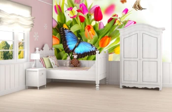  Fototapeta motyl 4362
