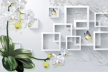  Fototapeta motyle 4562