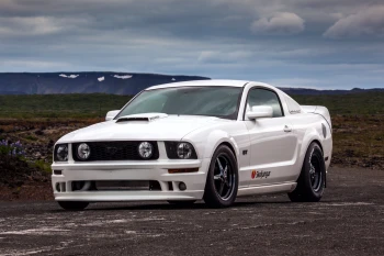  Fototapeta Mustang 4754