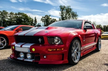  Fototapeta Mustang 871