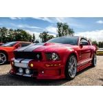 Fototapeta Mustang 871