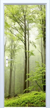  Fototapeta na drzwi drzewa 877