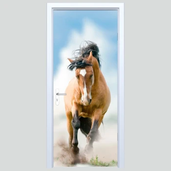  Fototapety na drzwi koń 231s