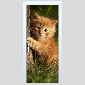  Fototapeta na drzwi kotek 180p
