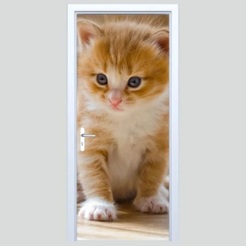  Fototapeta na drzwi kotek 183p