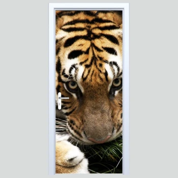  Fototapeta na drzwi tygrys 175p