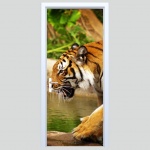 Fototapeta na drzwi tygrys 176p